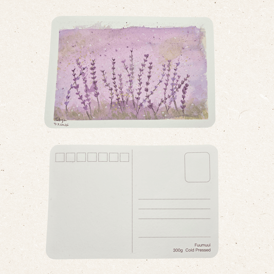 Lavender Fields Postcard